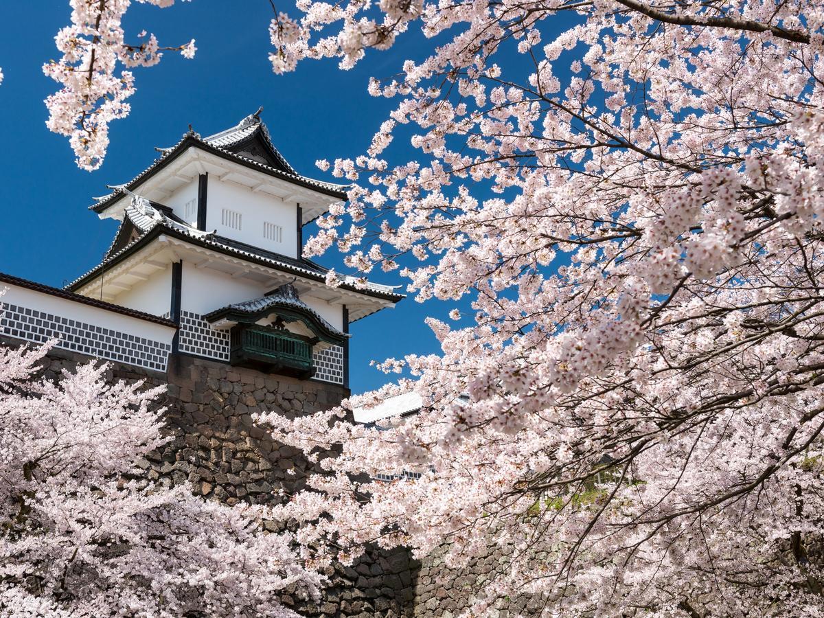 Hotel Wing International Premium Kanazawa Ekimae Exterior photo